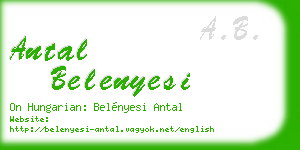 antal belenyesi business card